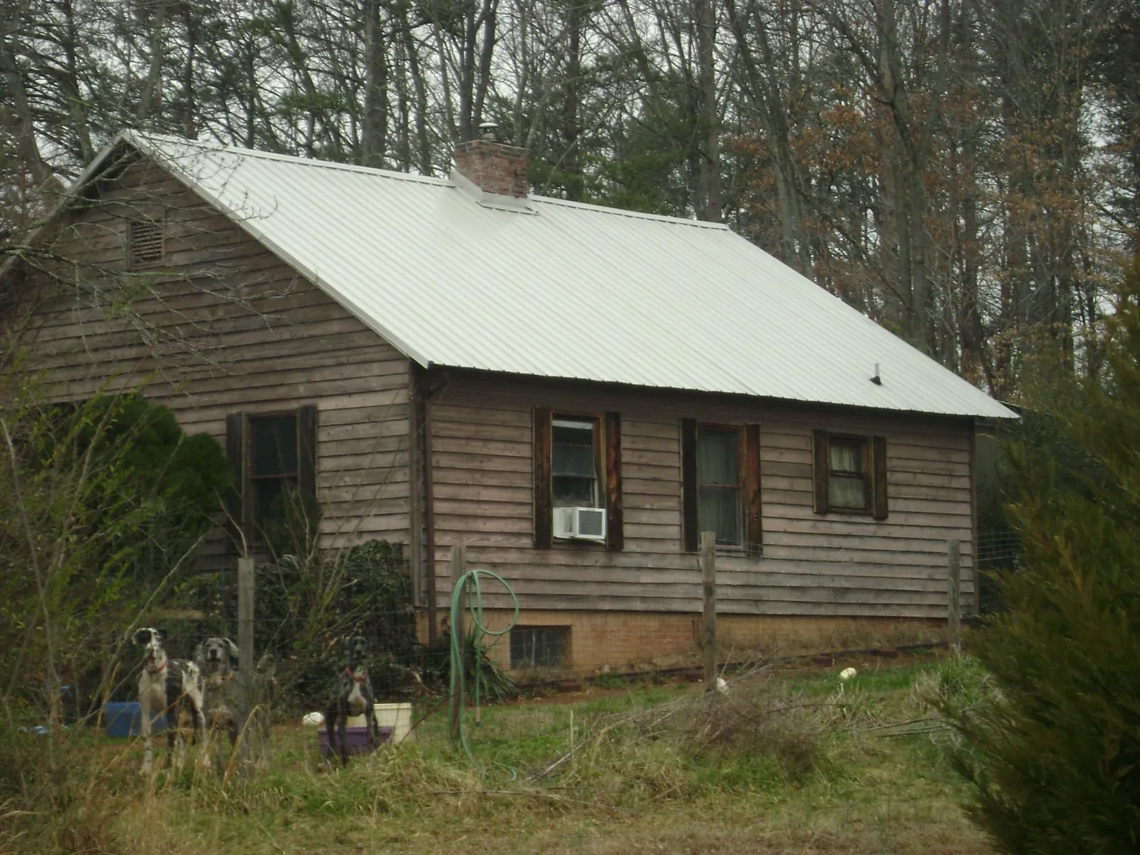 White metal roof on an old wood sided farmhouse, from a Metal Roof Installation job in Crystal Lake